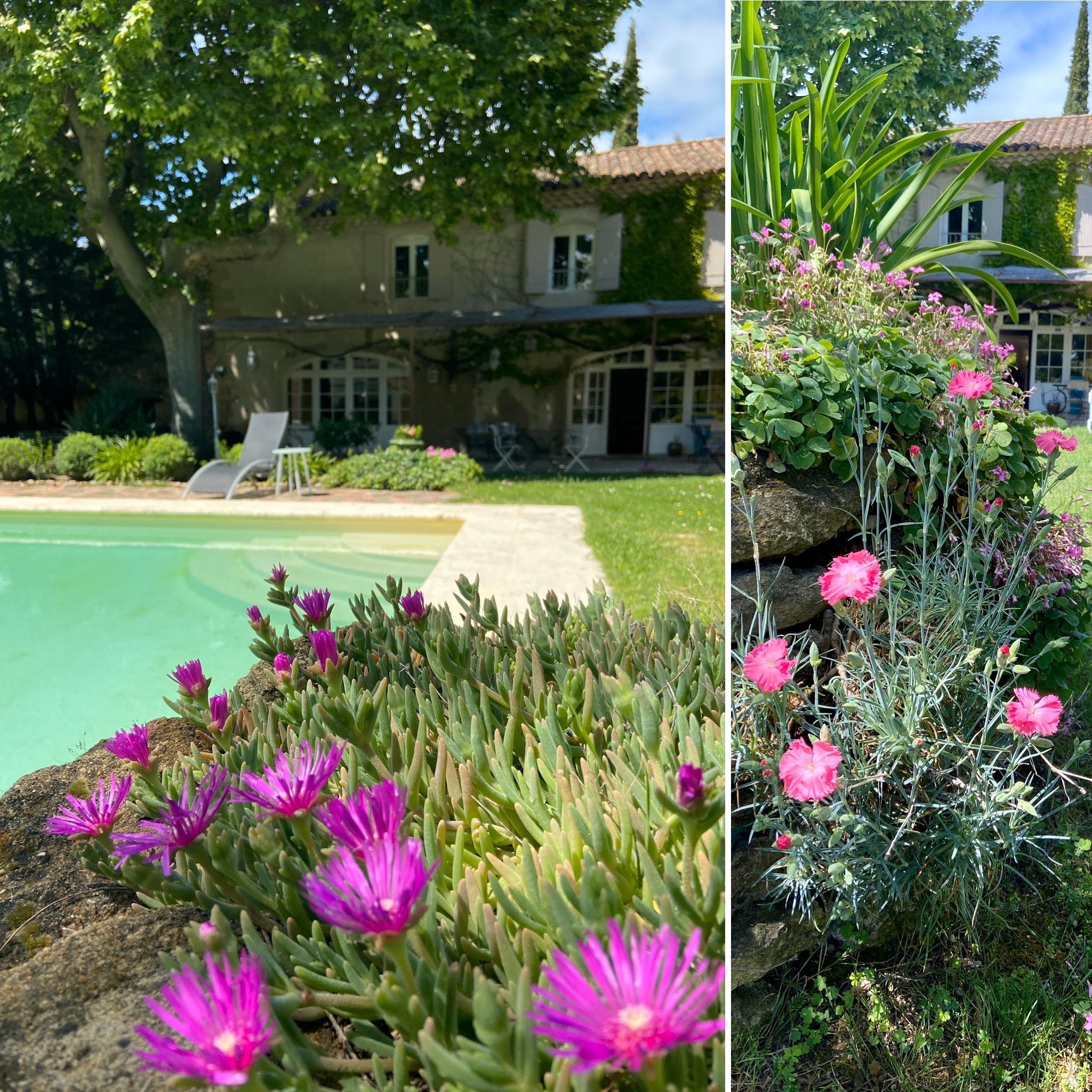 Logis Hotel La Sommellerie Châteauneuf-du-Pape Exterior foto